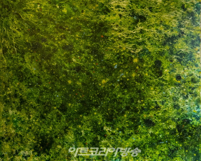 노혜지-Green Cosmos-그린상