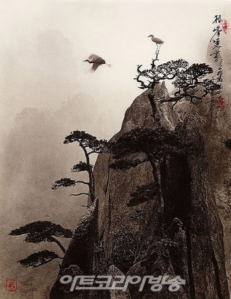 중국 작가의 동화속 같은 그림