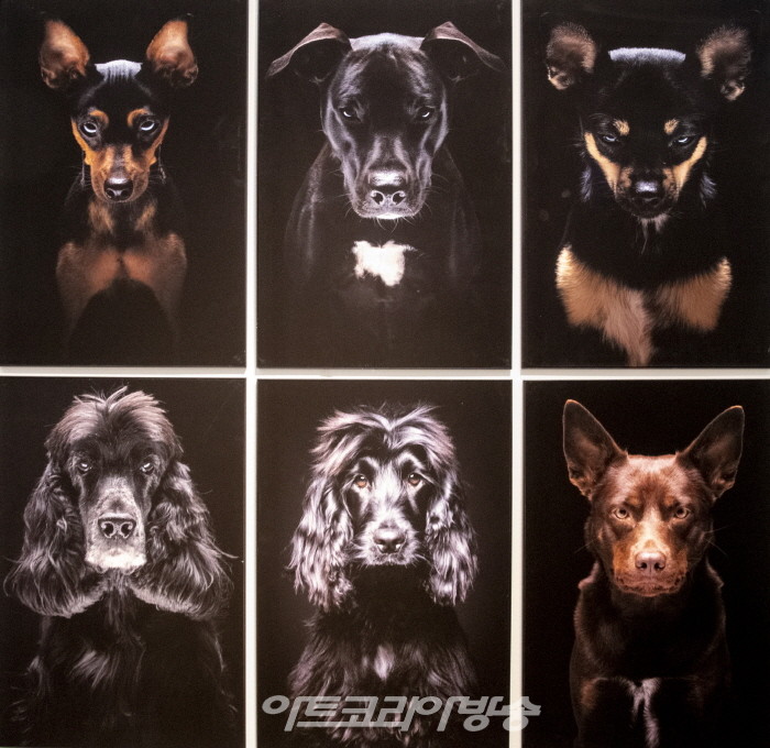 제8회 대한민국국제포토페스티벌