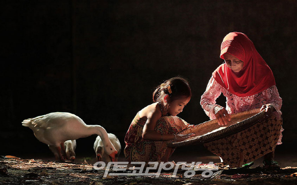 Herman Damar(인도네시아) 의 작품