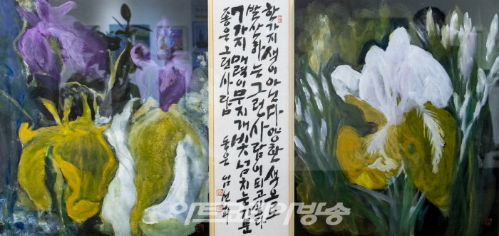 7가지 무지개 향기, 아리리스