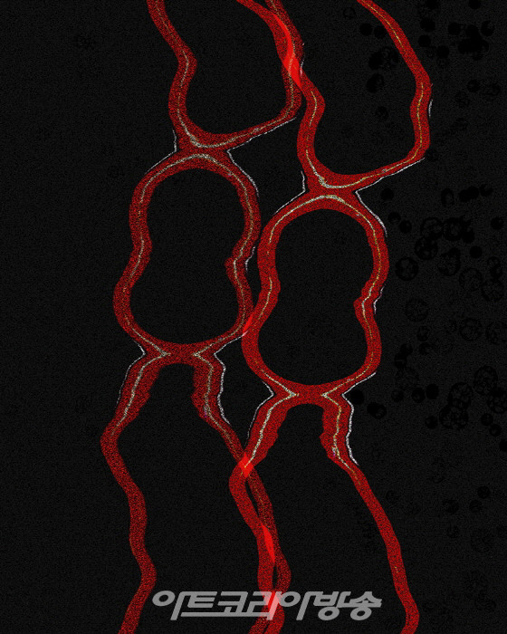 이정미 개인전 '유목민의 눈-A nomadic eyes'