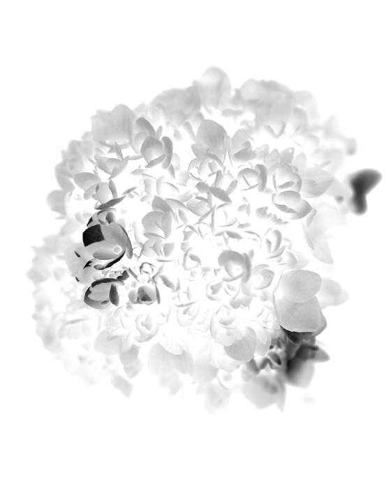 이정미 개인전 '유목민의 눈-A nomadic eyes'