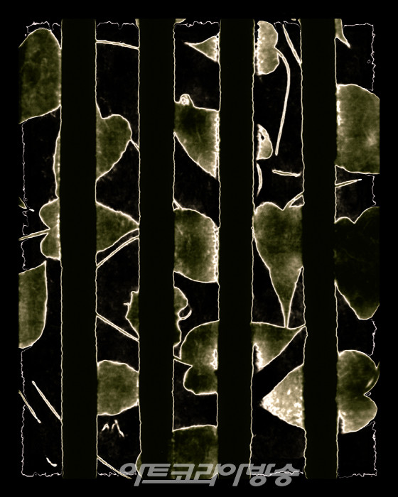 이정미 개인전 '유목민의 눈-A nomadic eyes'