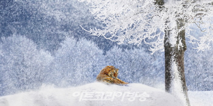 사진작가 박경서, '제7회 대한민국사진축전' 참가