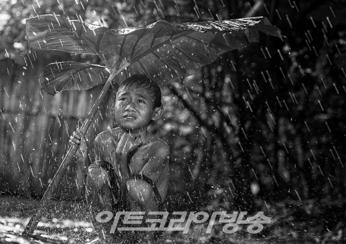 마음이 편안해지는 Herman Damar(인도네시아) 의 작품