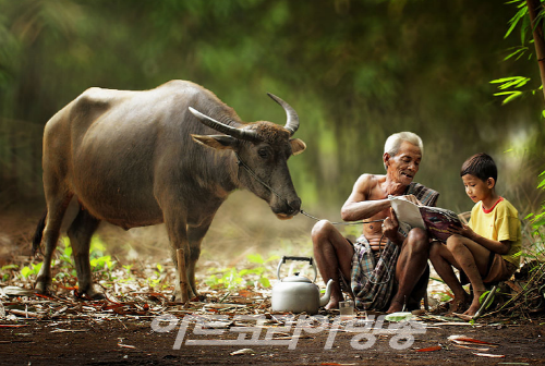 마음이 편안해지는 Herman Damar(인도네시아) 의 작품