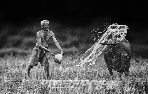 마음이 편안해지는 Herman Damar(인도네시아) 의 작품