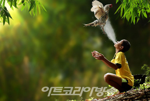 마음이 편안해지는 Herman Damar(인도네시아) 의 작품