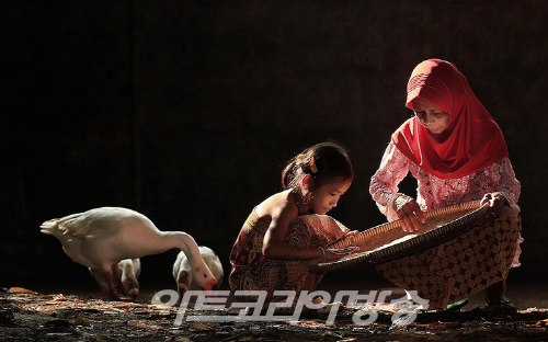 마음이 편안해지는 Herman Damar(인도네시아) 의 작품