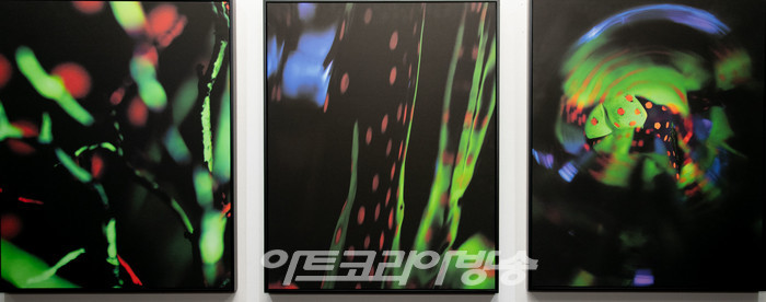 이정미 개인전 '유목민의 눈-A nomadic eyes'