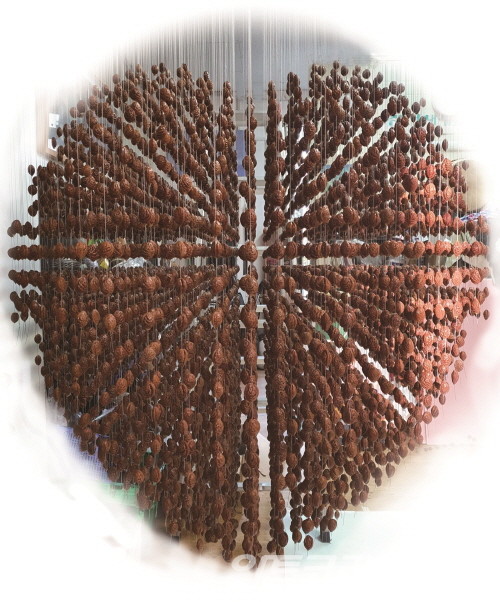 사랑의 열매(입체설치)_255x120x120cm_Seeds and Wires, Lightings_2022 김동석作