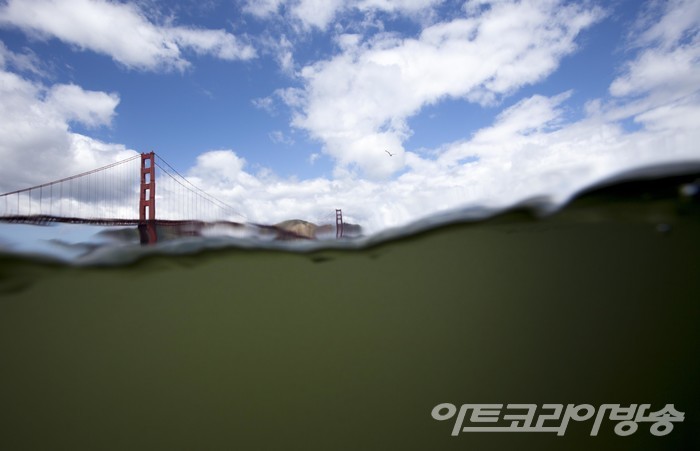 양서류 프로젝트_샌프란시스코, 2011 / 하을