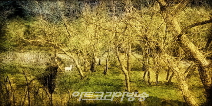 김준기 개인전 '타자의 풍경'