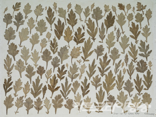 Nature in Food - 엄마의쑥차_34.8x26.6x5cm_패널에 한지, 쑥차부산물 / 김순임作