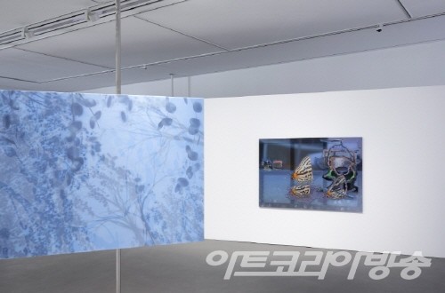 물거품, 휘파람 展