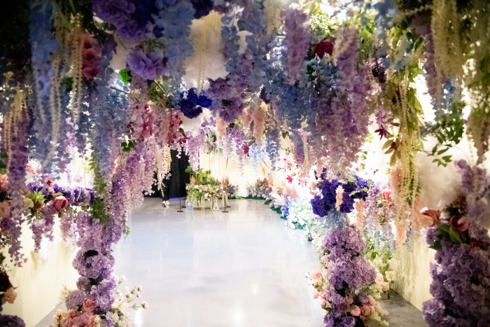 '가수 김호중 전, 별의 노래' 김미정 도슨트 해설