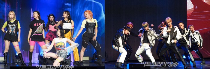 라필루스-TFN(티에프앤) 사진 아트코리아방송 DB