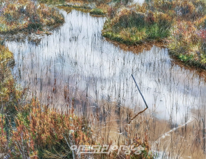 이광호(b. 1967)〈Untitled 4731〉2021Oil on canvas