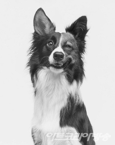 장호성 展 ' Dog Maker '