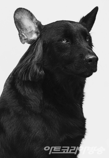 장호성 展 ' Dog Maker '