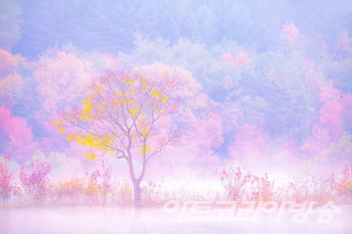 유승호 作_Harmony of love_104x156cm_Pigment Print_2019 _ 작가의 향기 展