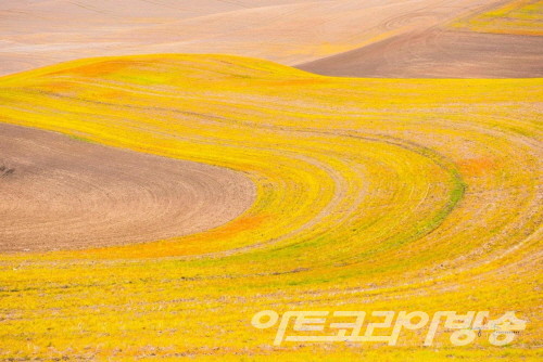 유승호 作_봄의 전령_104x156cm_Pigment print_2019 _ 작가의 향기 展