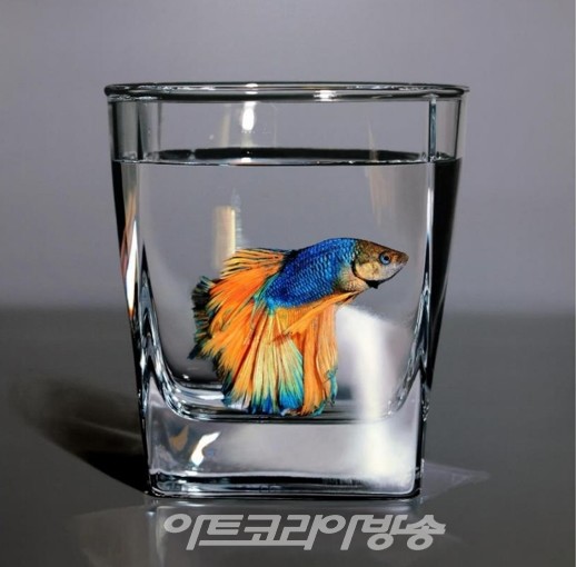 김영성 Nothing.Life.Object (2)