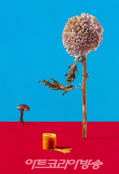 오 흥 배Impression2