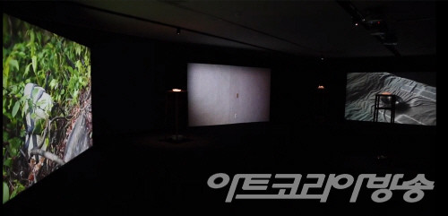 이창훈 作_꼬리_3채널 영상_포집한 물, 냉동고, 그릇, 몰드, 목재, 분재_가변크기_2020