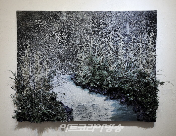 서양화 비구상_설화