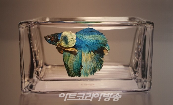 김영성-Kim YoungSung 