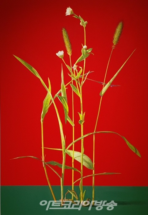 오흥배-Oh HeungBae