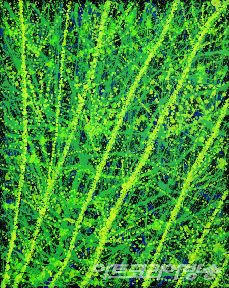 오명주 作 _ 聖 - 然 08