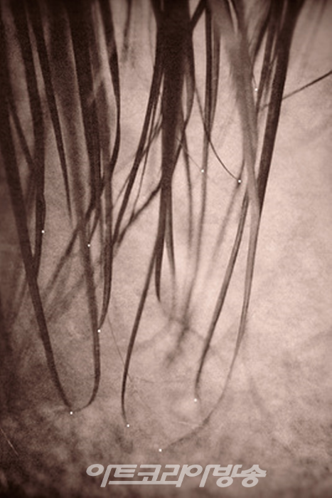 이언옥 사진전 '슬픔의 질감'