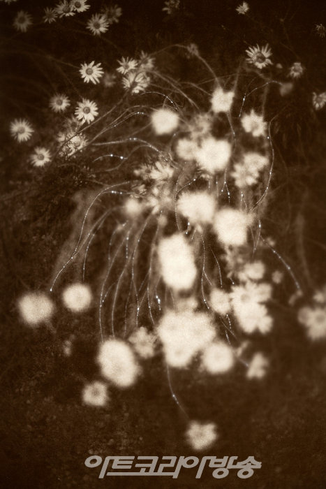 이언옥 사진전 '슬픔의 질감'