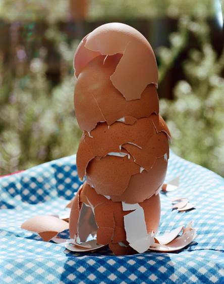 사진출처 노르웨이 작가 토르비욘 로드란드(Torbjørn Rødland)