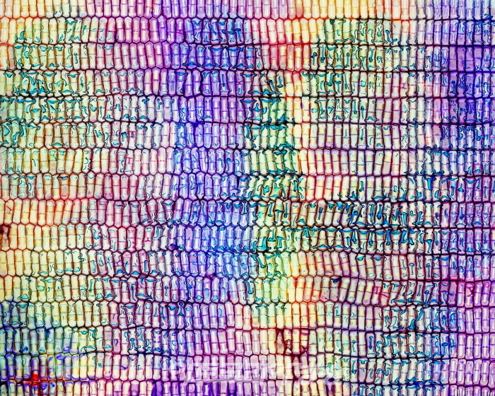 김승환 사진전 'Pills'