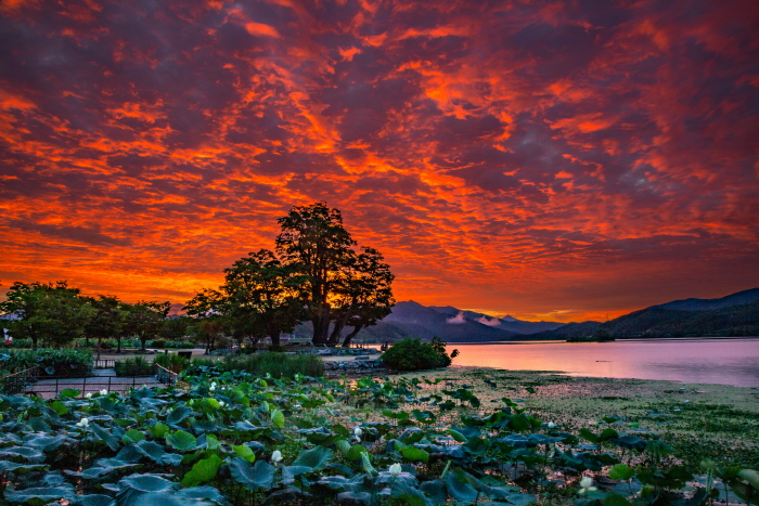 한용길 사진집 '그 자욱한 끌림 양수리 푸른 새벽, 빗장을 풀다’전