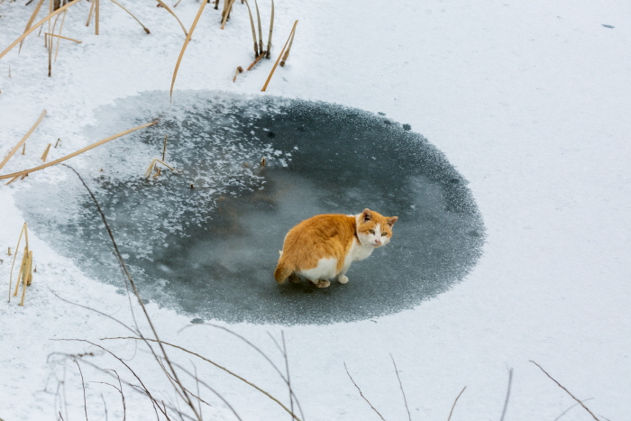 한용길 사진집 '그 자욱한 끌림 양수리 푸른 새벽, 빗장을 풀다’전