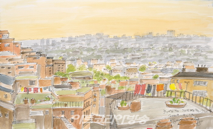 제4부 내 삶의 원형, 고향마을과 자연의 숲