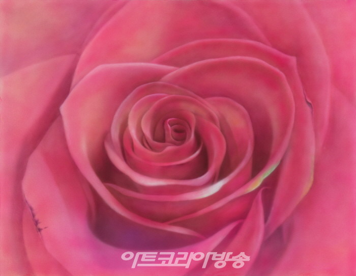 장미 , 그 순간의 움직임 무지개 컬러의 찰나