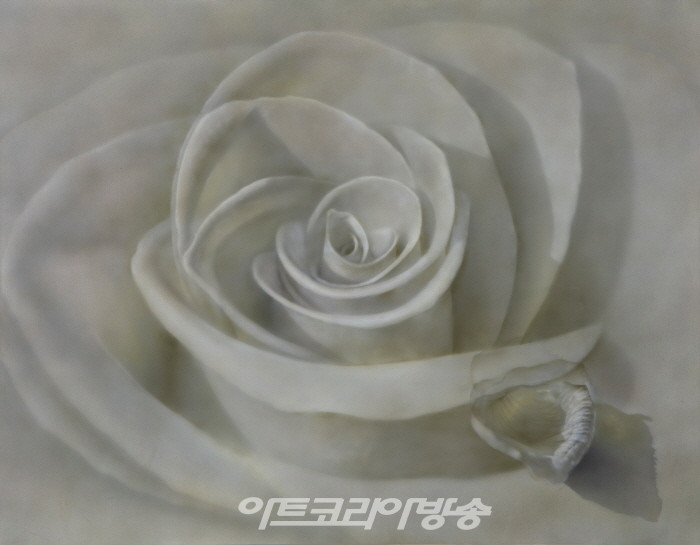 장미 , 그 순간의 움직임 무지개 컬러의 찰나