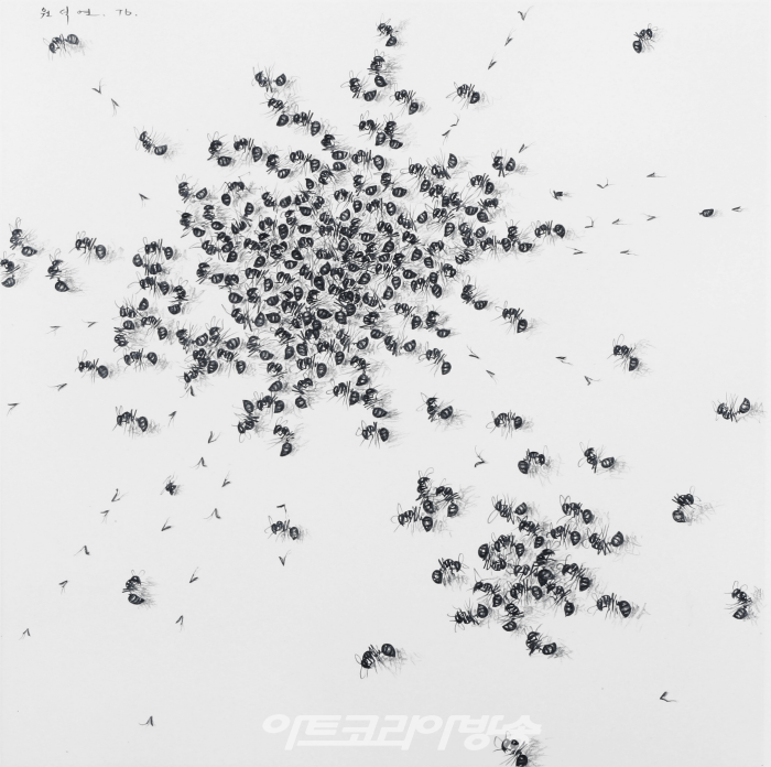 원석연_개미, 1976, pencil on paper, 36x38cm