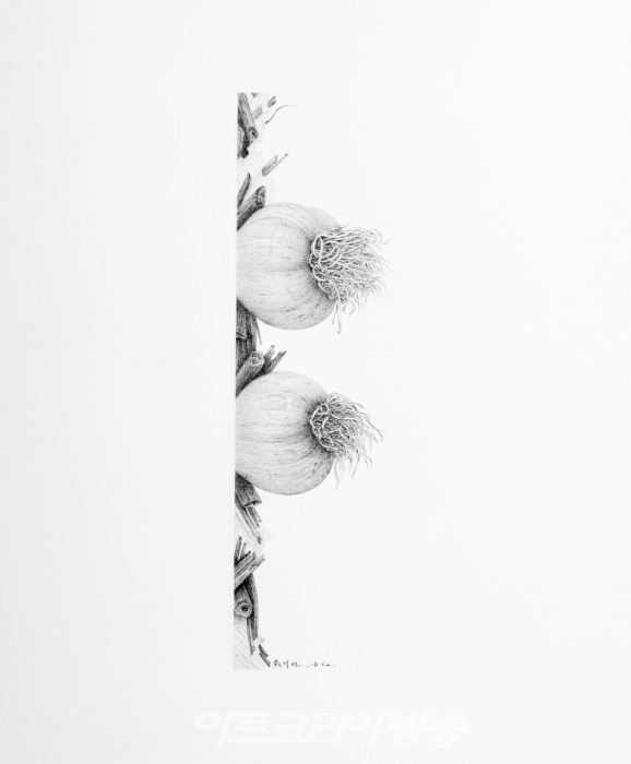 원석연_마늘, 1994, pencil on paper, 27x22cm