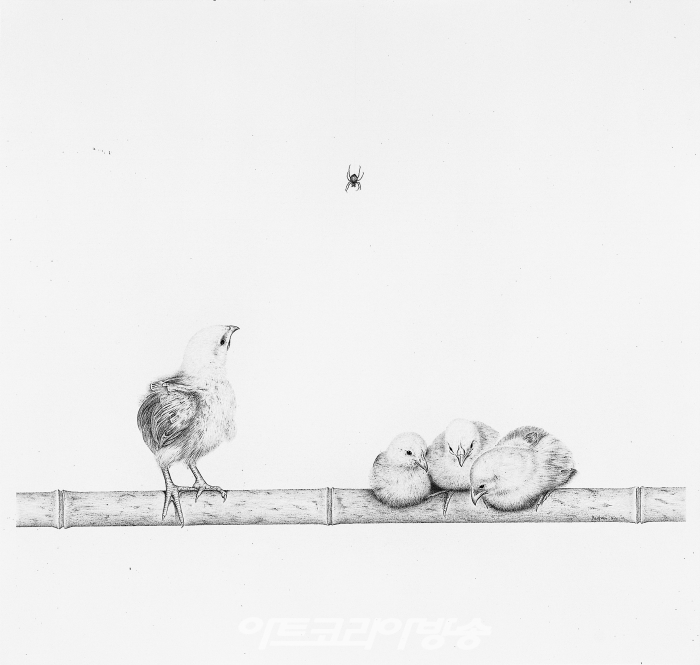원석연_병아리와 거미, 1994, pencil on paper, 58x61cm
