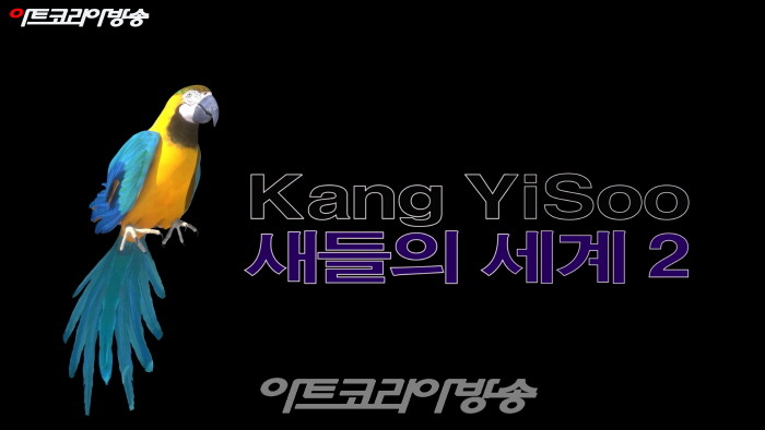 강이수 작가, '새들의 세계Ⅱ'