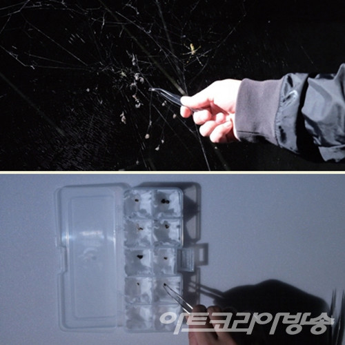 정덕용 作_연민으로 짓누르기_Two Channel Video_8’ 33”_2022