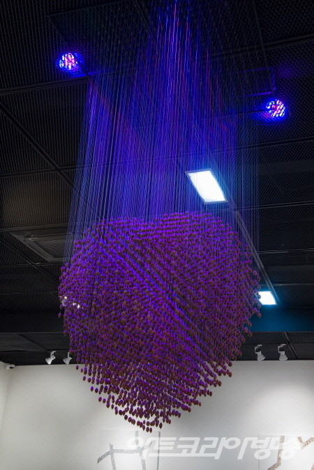 김동석 作 _ 사랑의 열매_255x120x120cm_Seeds and Wires, Lightings_2022