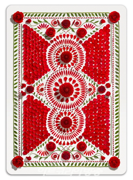 Playing Cards, 2023_RED